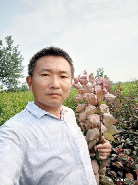 孩子爸的第二张照片--江苏认干亲服务网